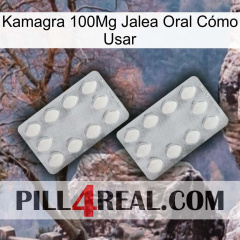 Kamagra 100Mg Jalea Oral Cómo Usar 17